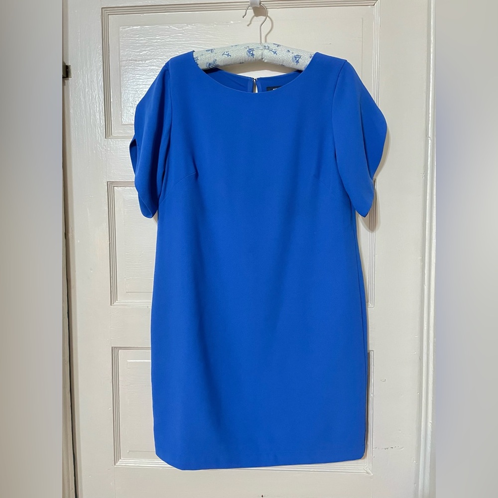 Tulip Sleeve French Connection Dress